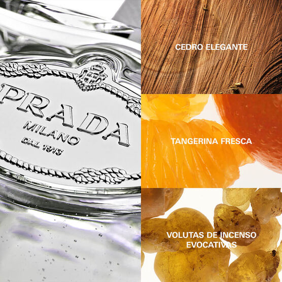 PRADA      IRIS CEDRE    EDP  100ML